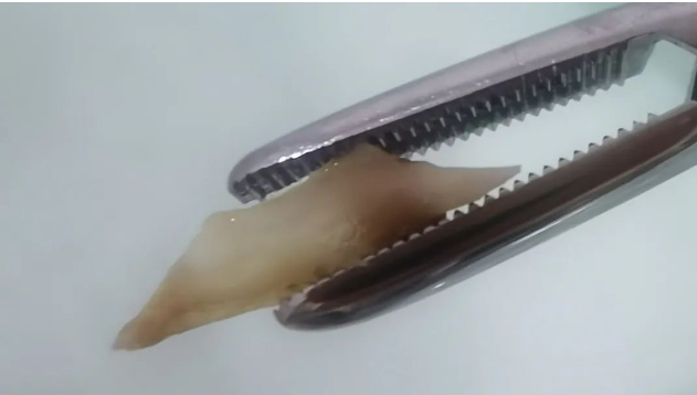 image.png image.png