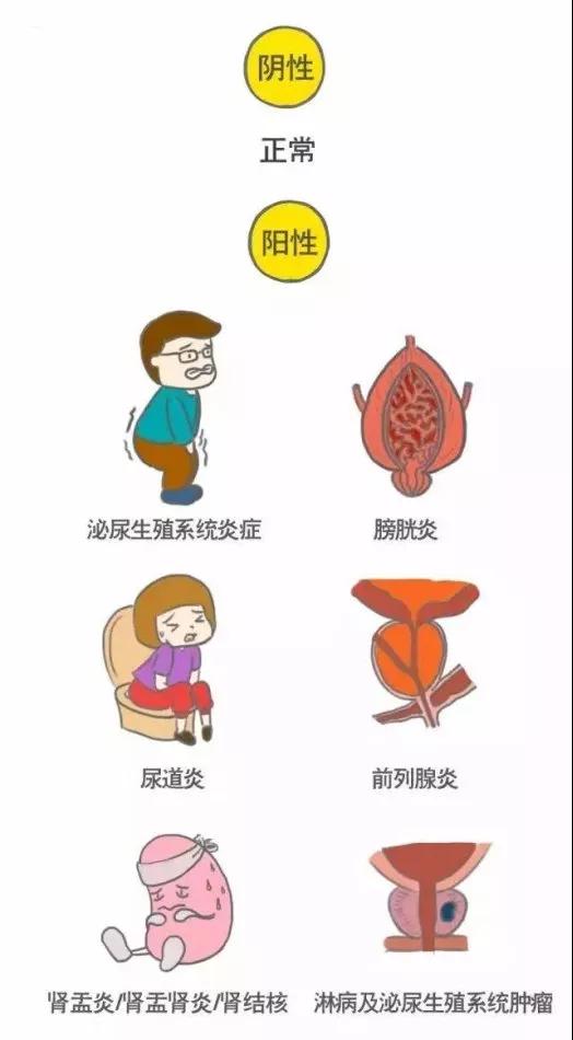 1.jpg 1.jpg